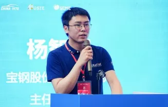 杨智辉·宝钢